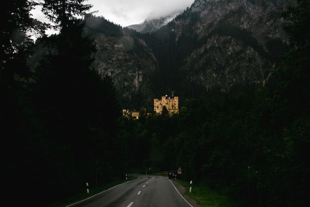 highway in the middle of forest