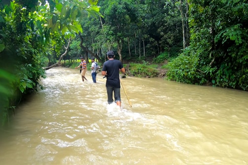 A group of adventurers crossing a shallow stream in a lush forest during an off-road trip.