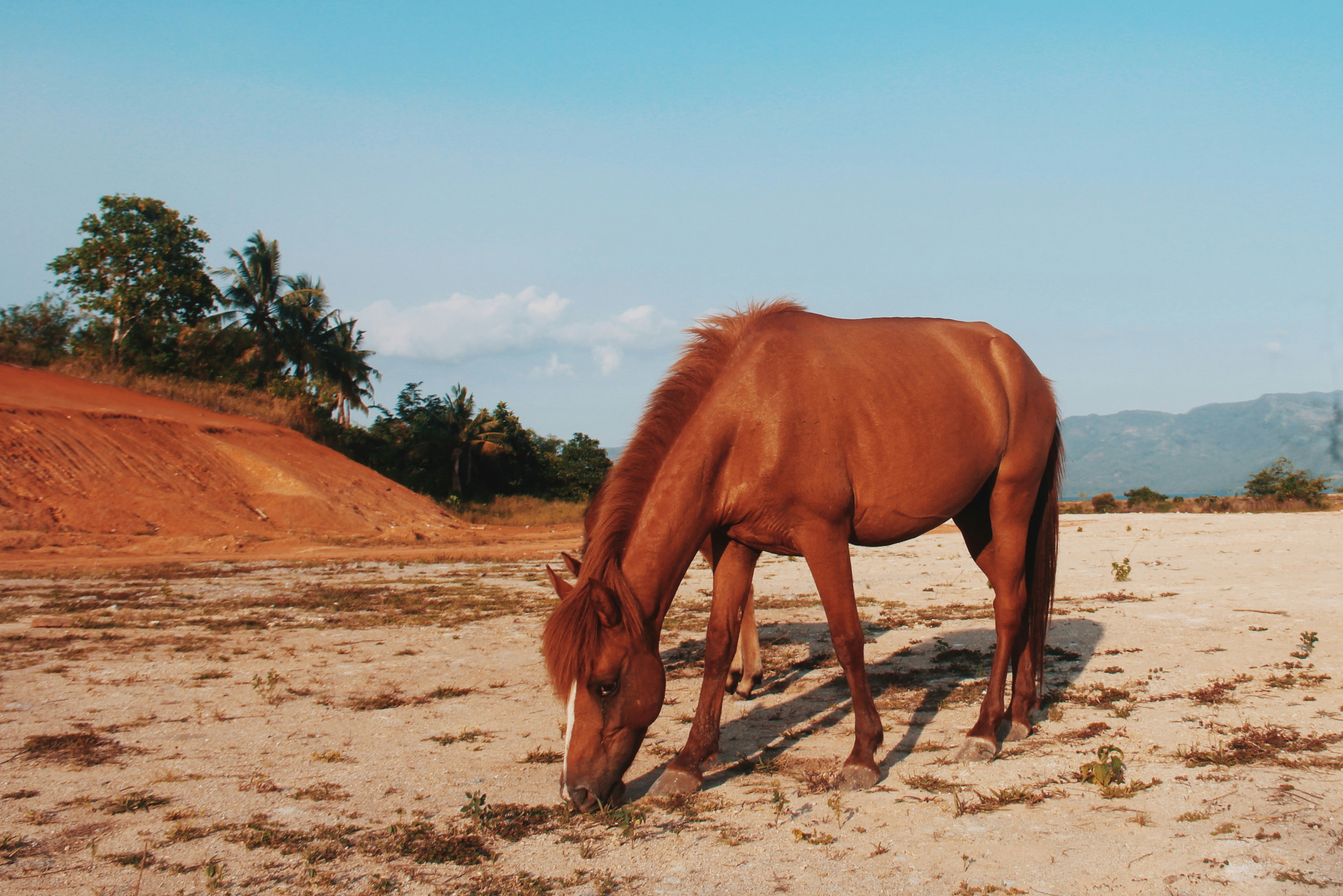 Photo by jamievalmat