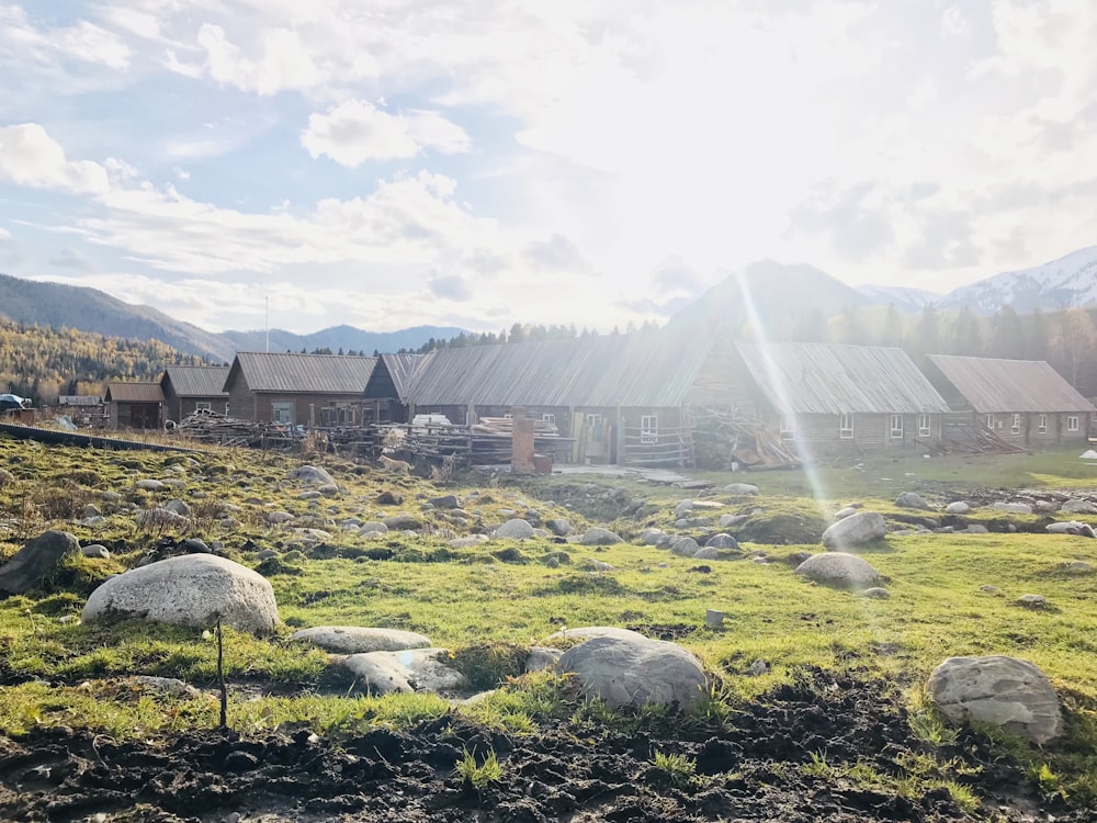 buildings on grass and rocky field