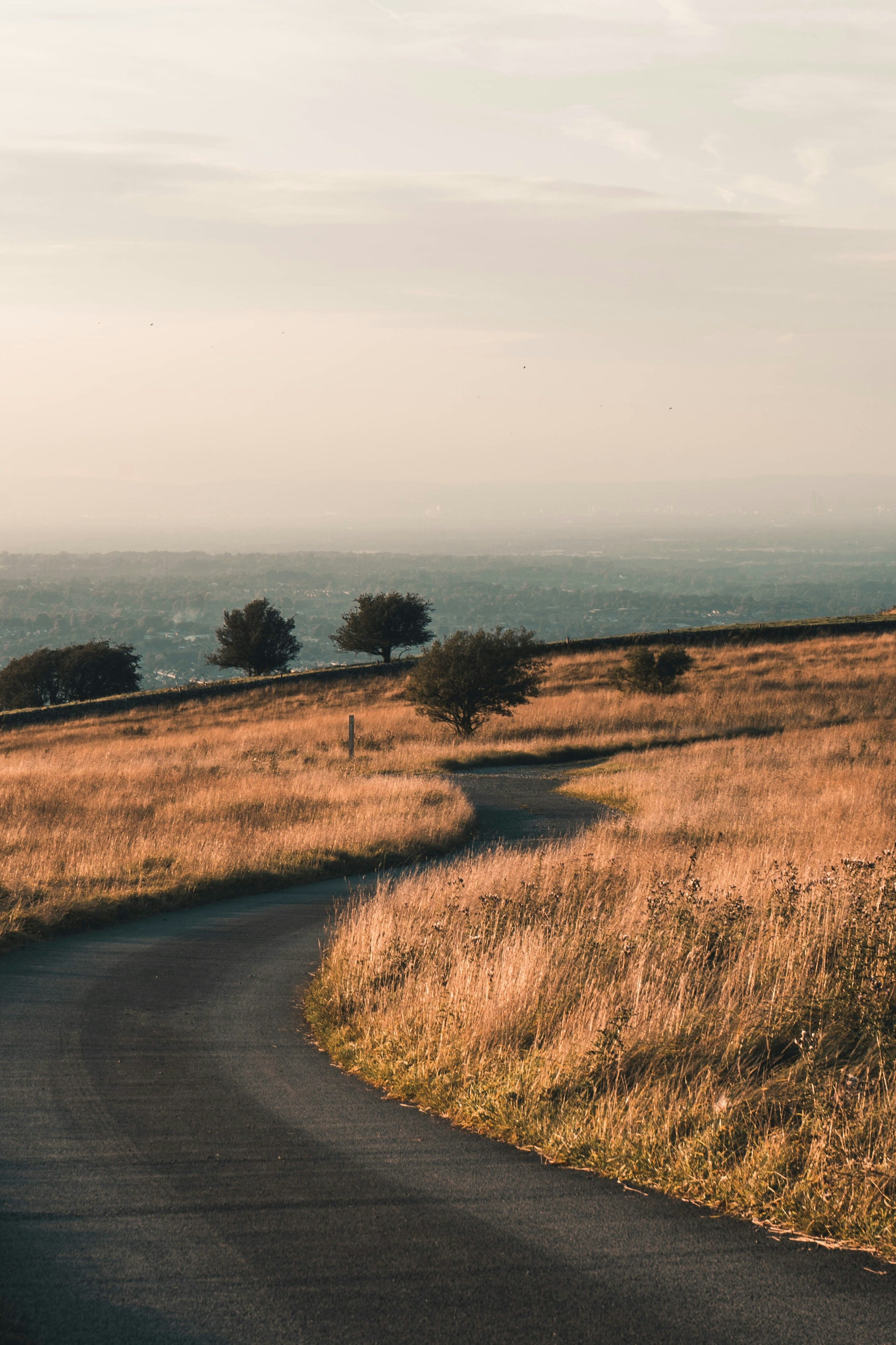 Photo by henry_ravenscroft_