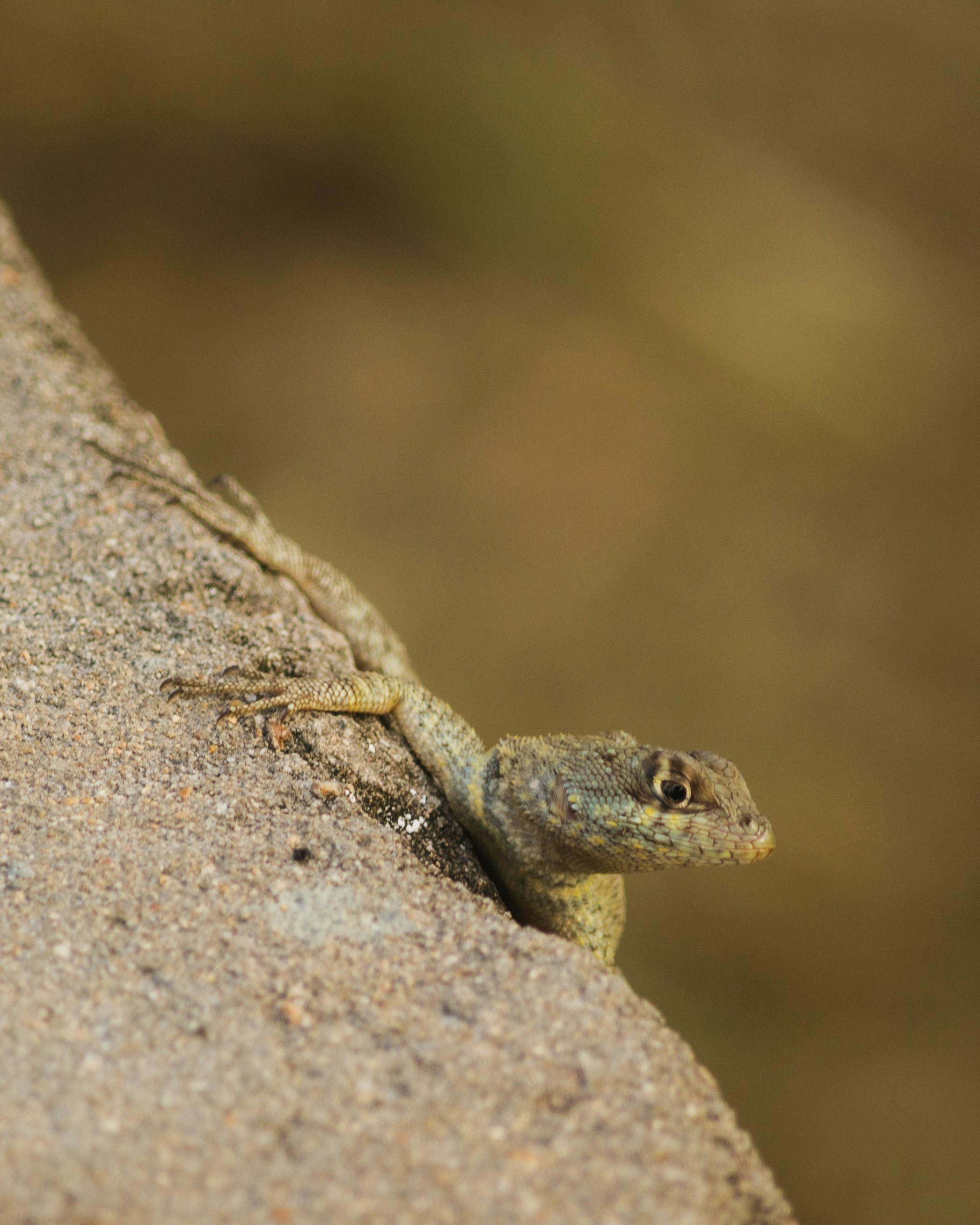 Photo by renanbragac