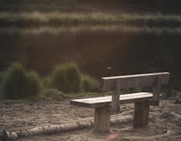 gray wooden bench front of calm water
