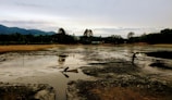 A person wearing a yellow safety helmet is standing on a muddy, barren landscape with large hoses visible on the ground. In the background, dense greenery and trees border the area, and mountains are silhouetted against a cloudy sky.
