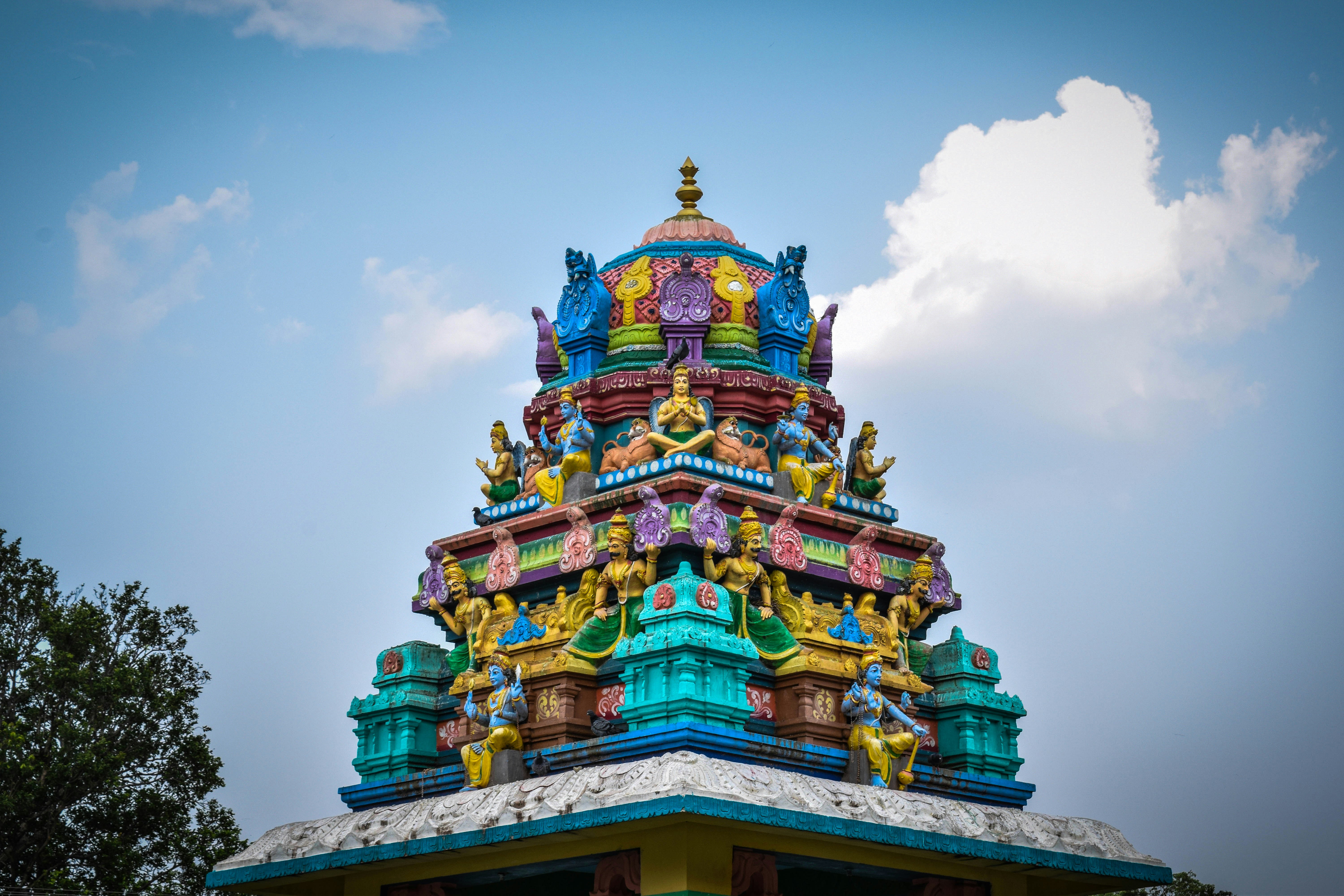 Photo by kiran_cameron