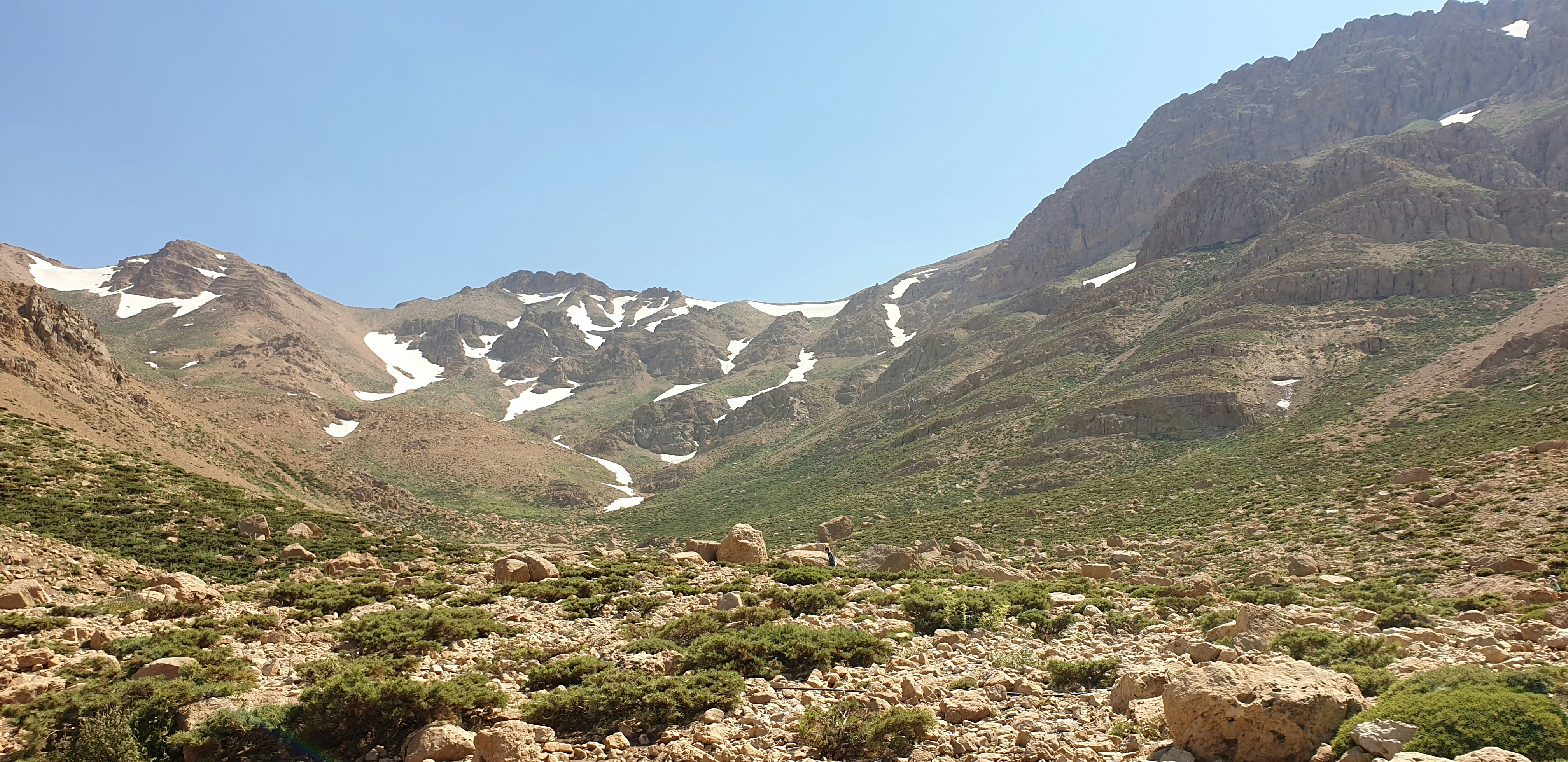 Photo by saman_goldar