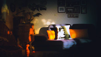 A freshly cleaned sofa with vibrant cushions in a sunny living room.
