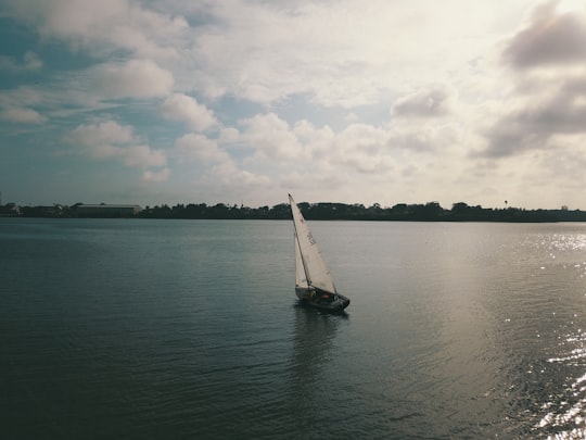 picture of Sailing from travel guide of Mombasa Island