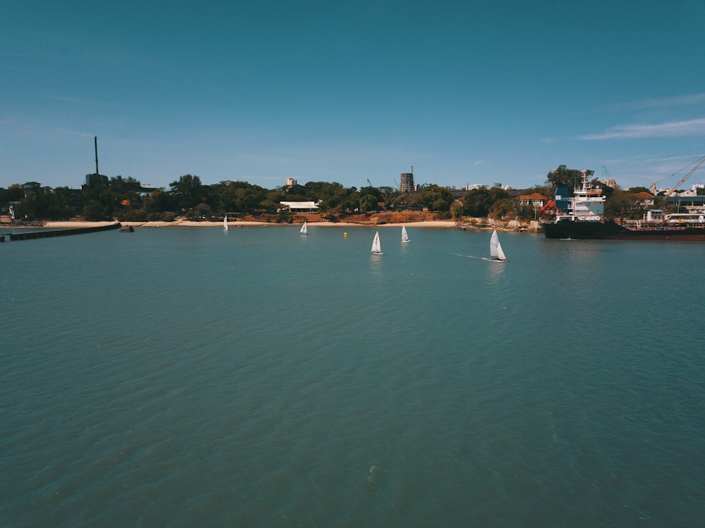 sailboats on calm water at daytime