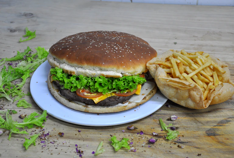 burger with potato fries