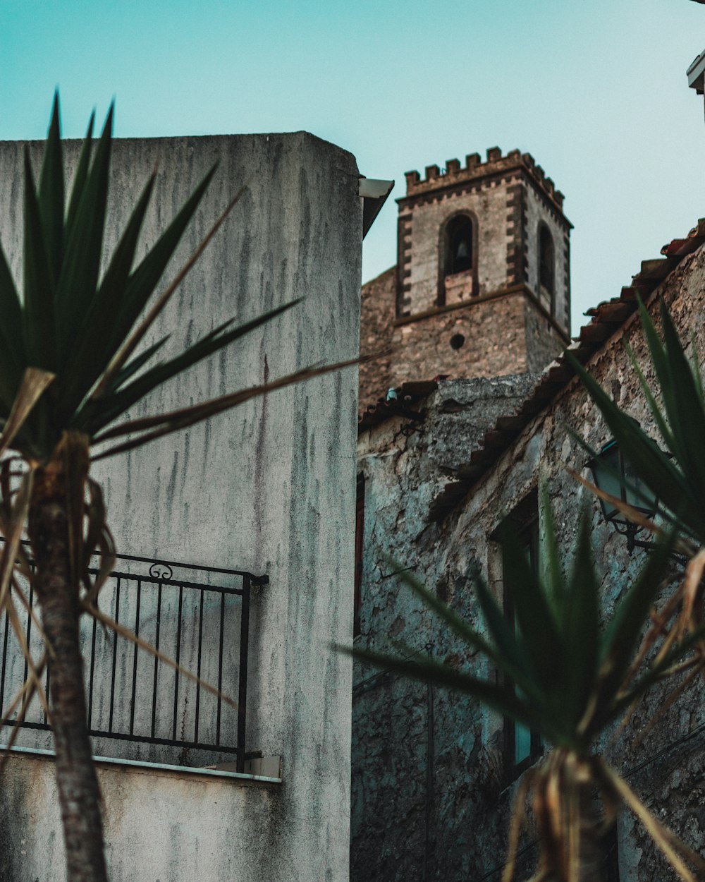 brown concrete building