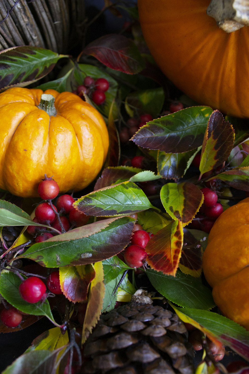 orange pumpkins