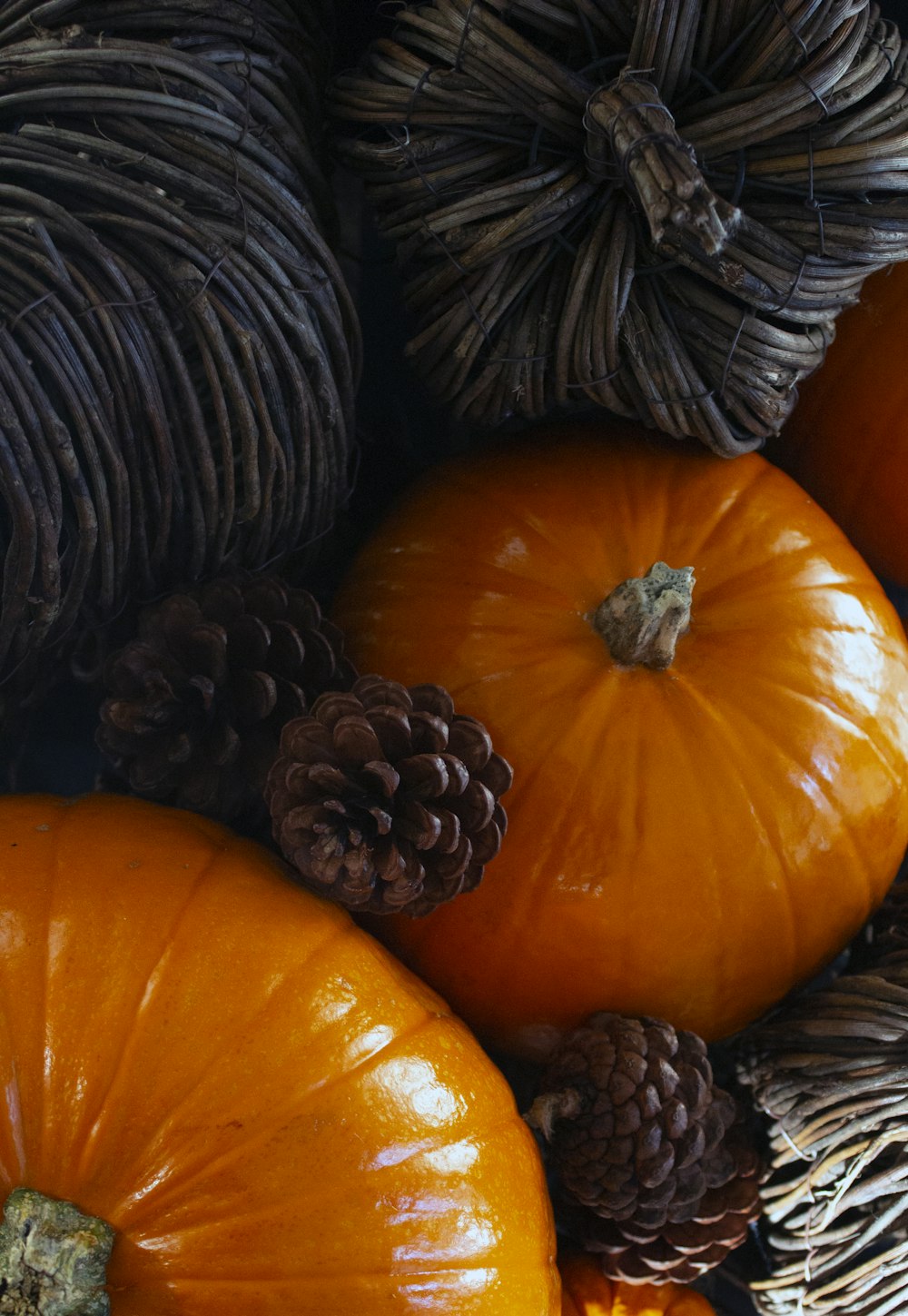 pile of pine cones and pumpkins