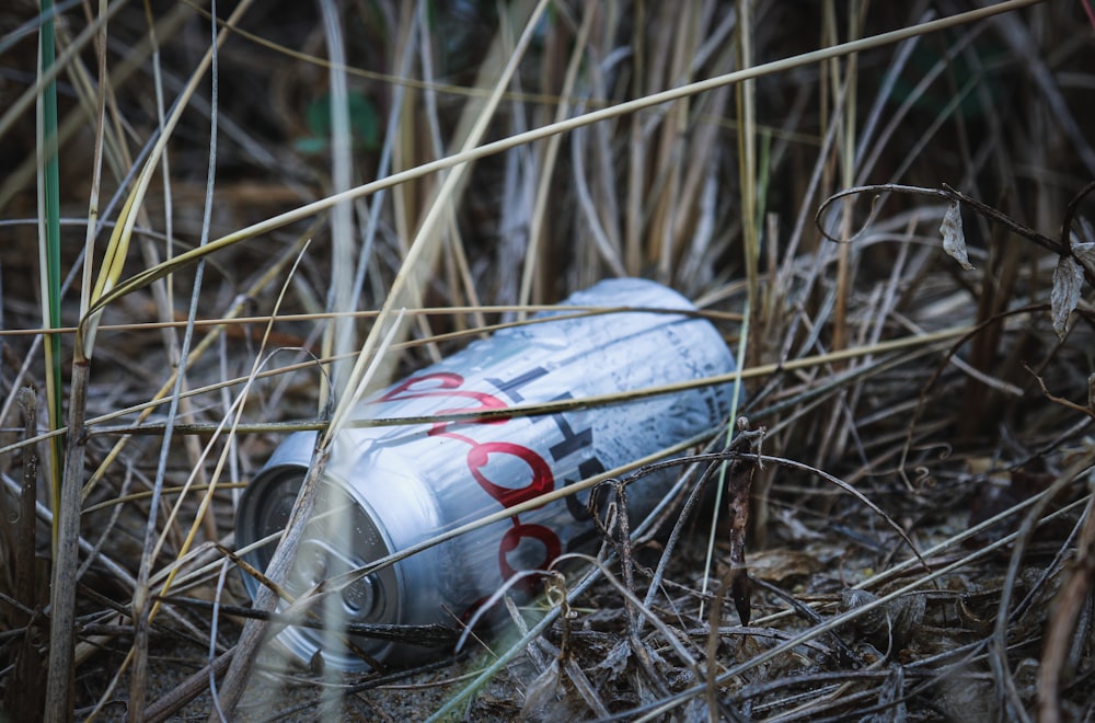 Coors Light beer can