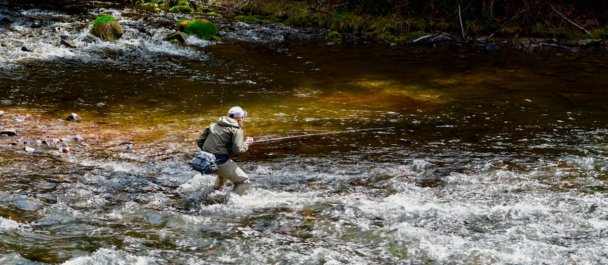 Fly angler wading a clear, rocky tailwater river — South Platte