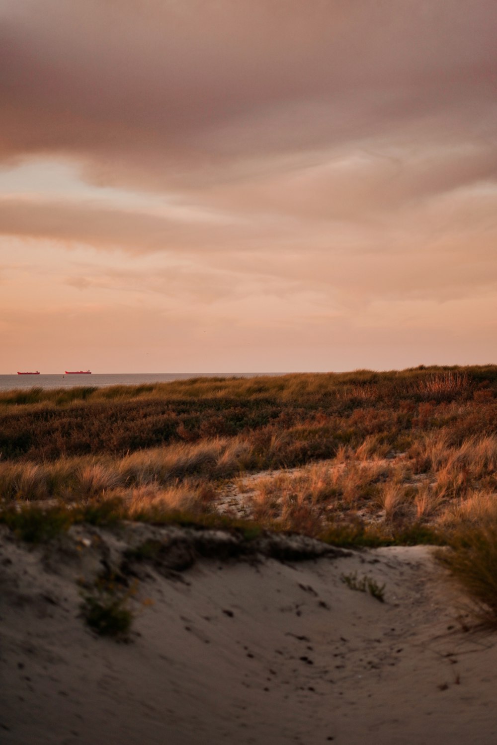 brown grass field under cloudy sky