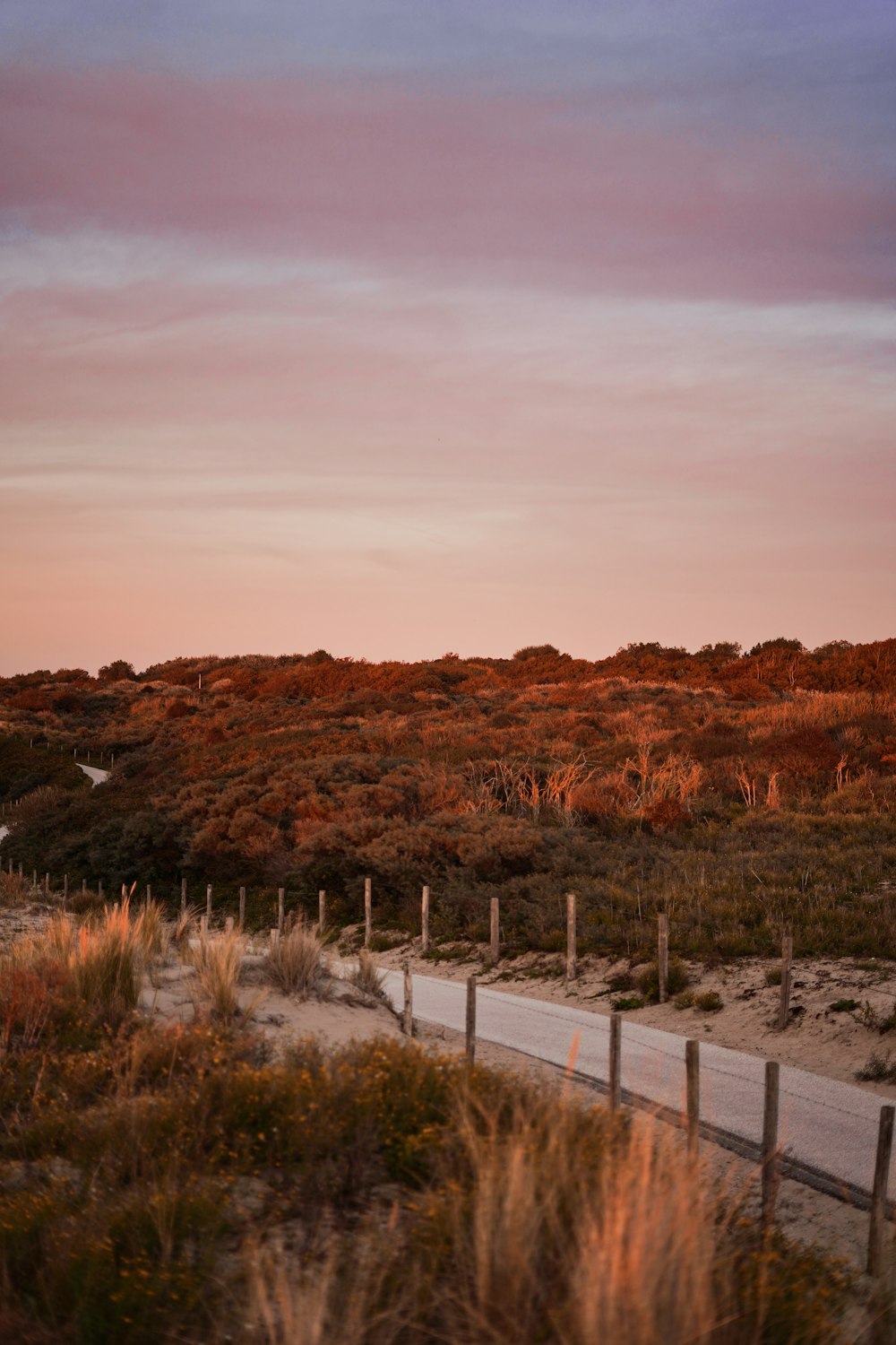 gray road under orange sky