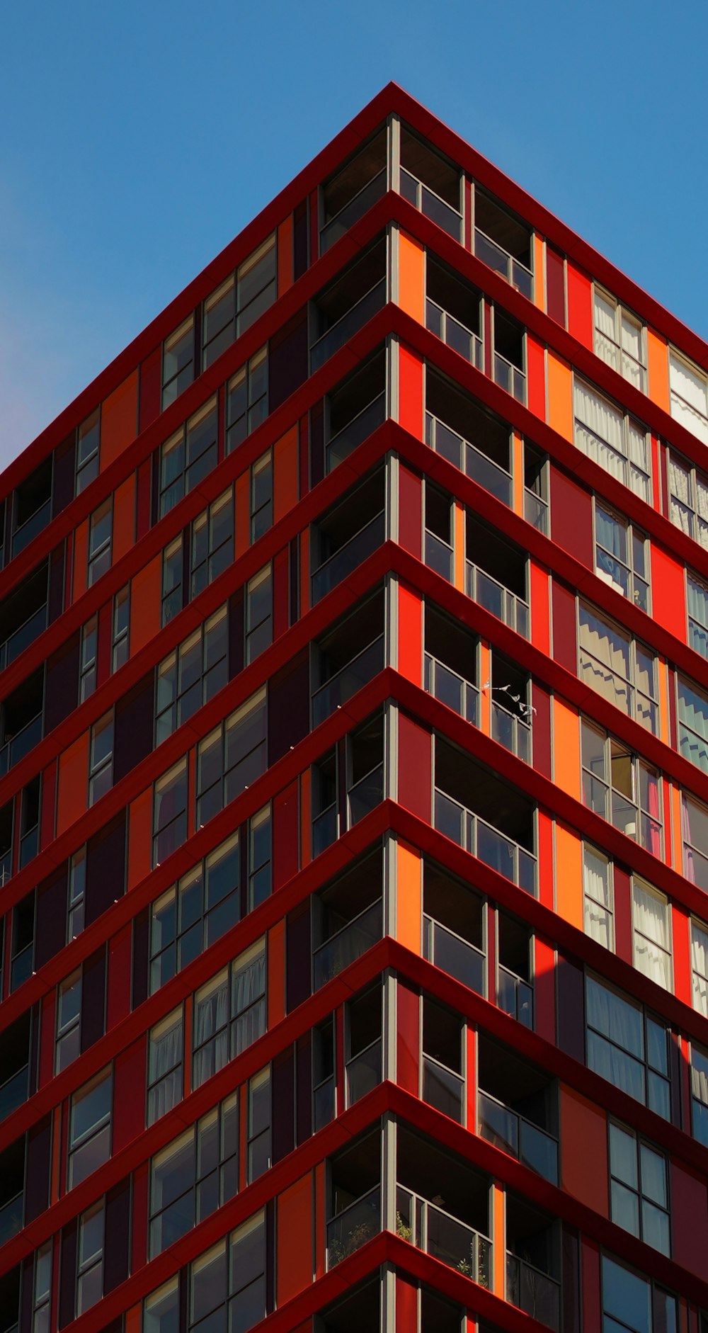 red and black building