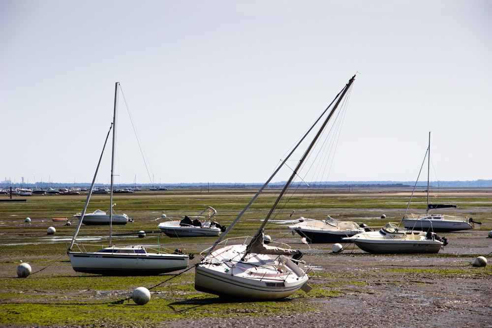 Yacht auf dem Feld