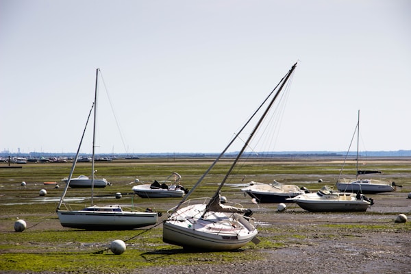 Explore Les Mureaux: Local Culture and Traditions