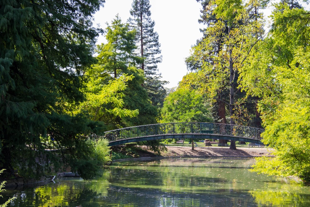 Pont du parc pendant la journée