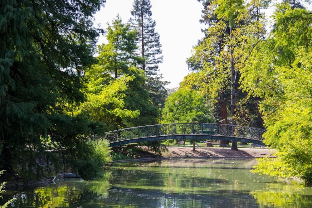 bridge at the park during daytime