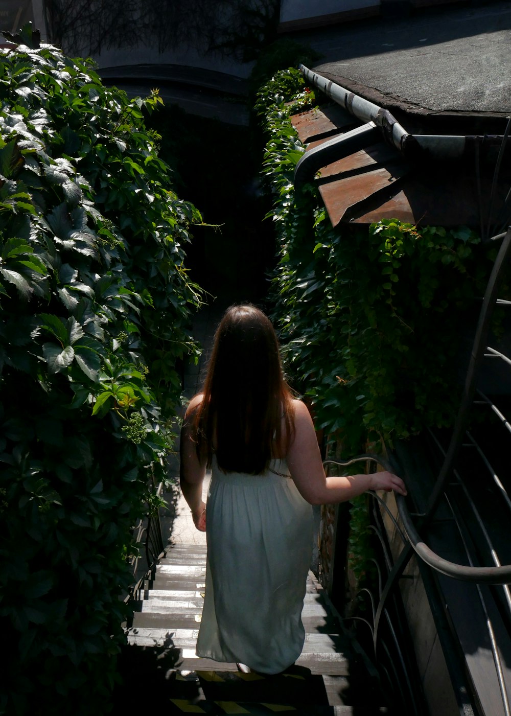 woman standing and holding on railings near green leaf plants