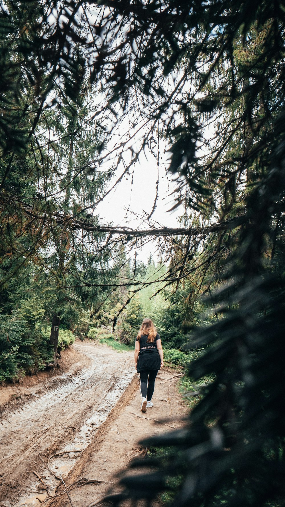 woman walking on road surrounded with tall and green trees during daytime