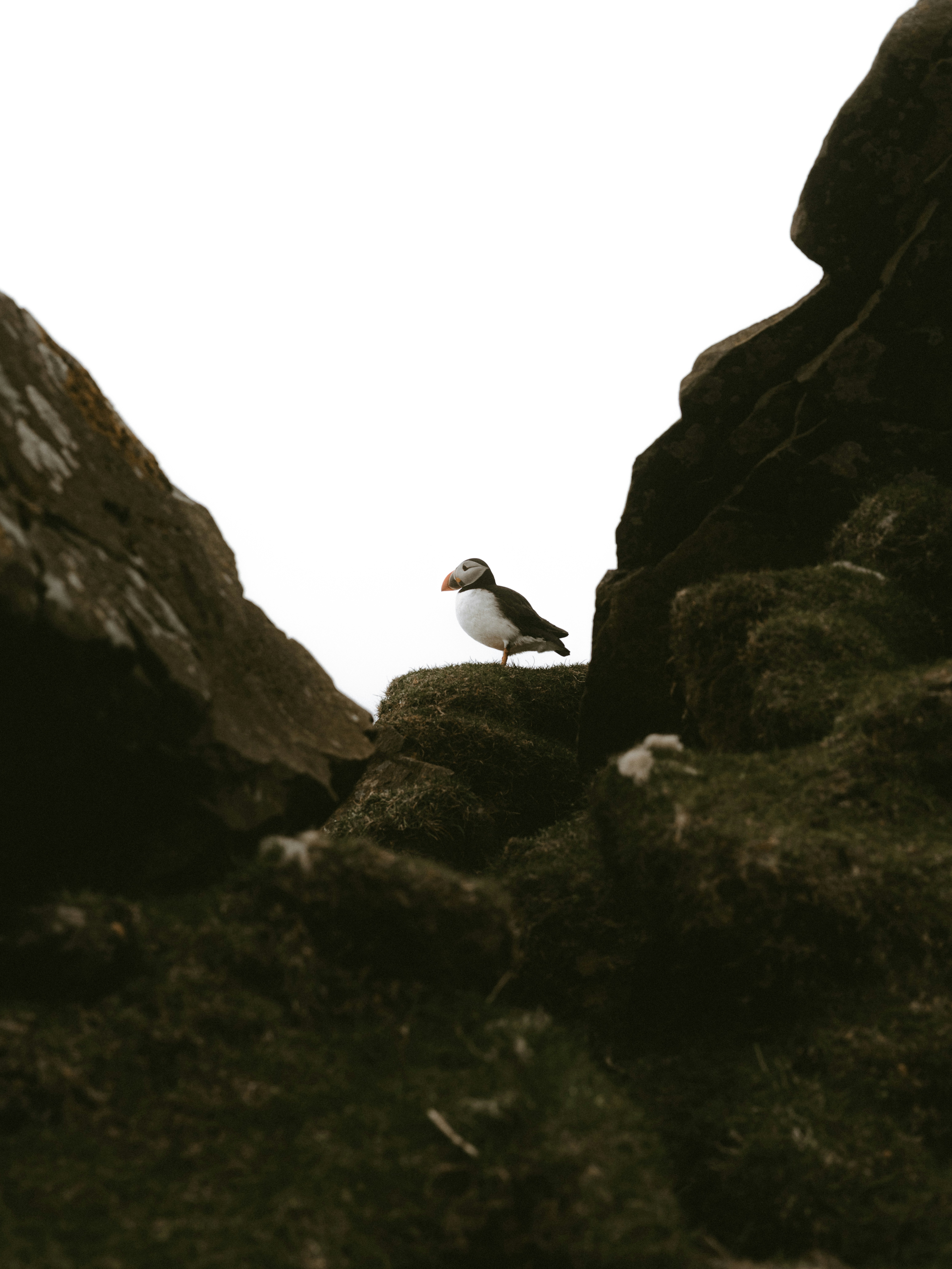 Photo by anniespratt