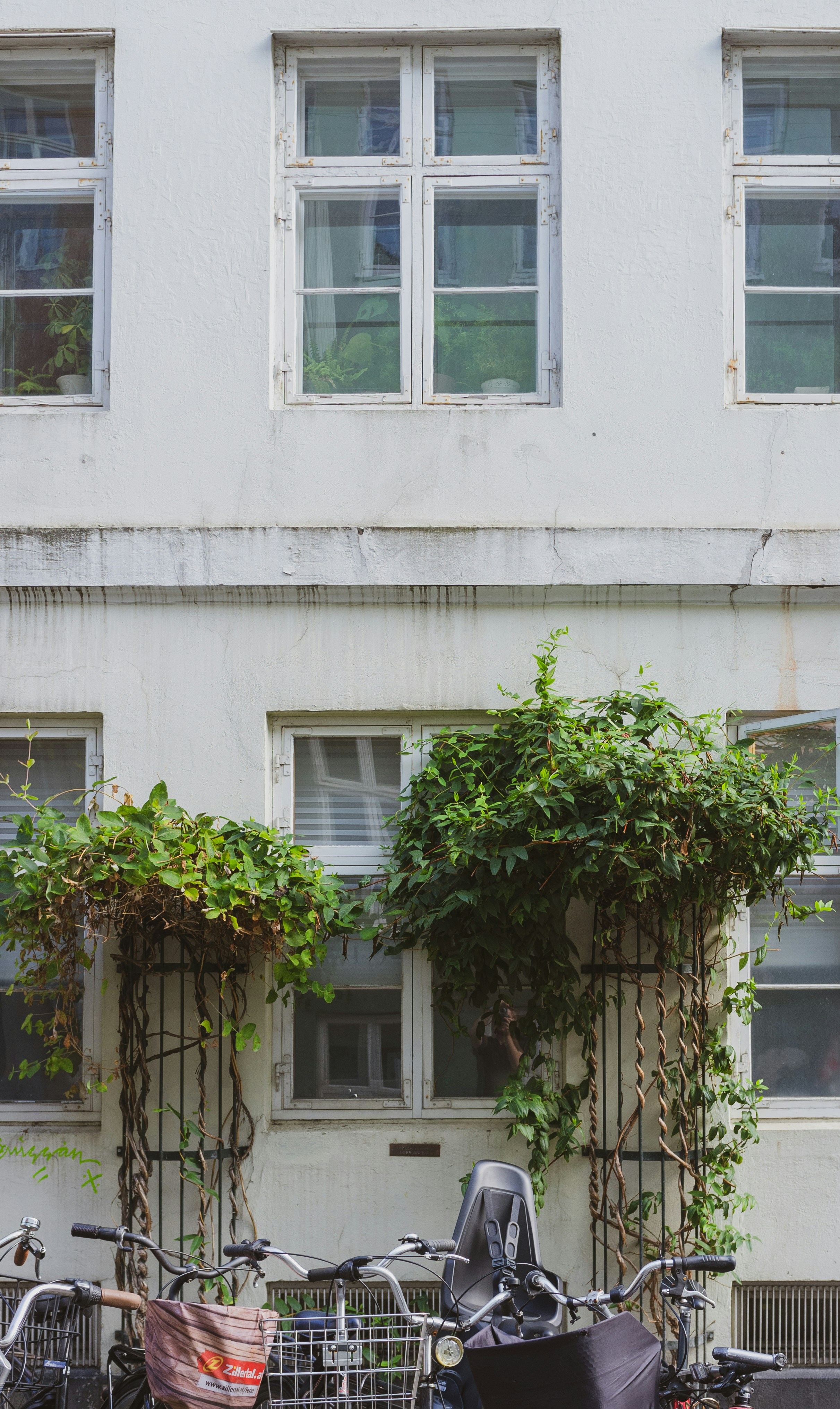 Photo by moisamihai092