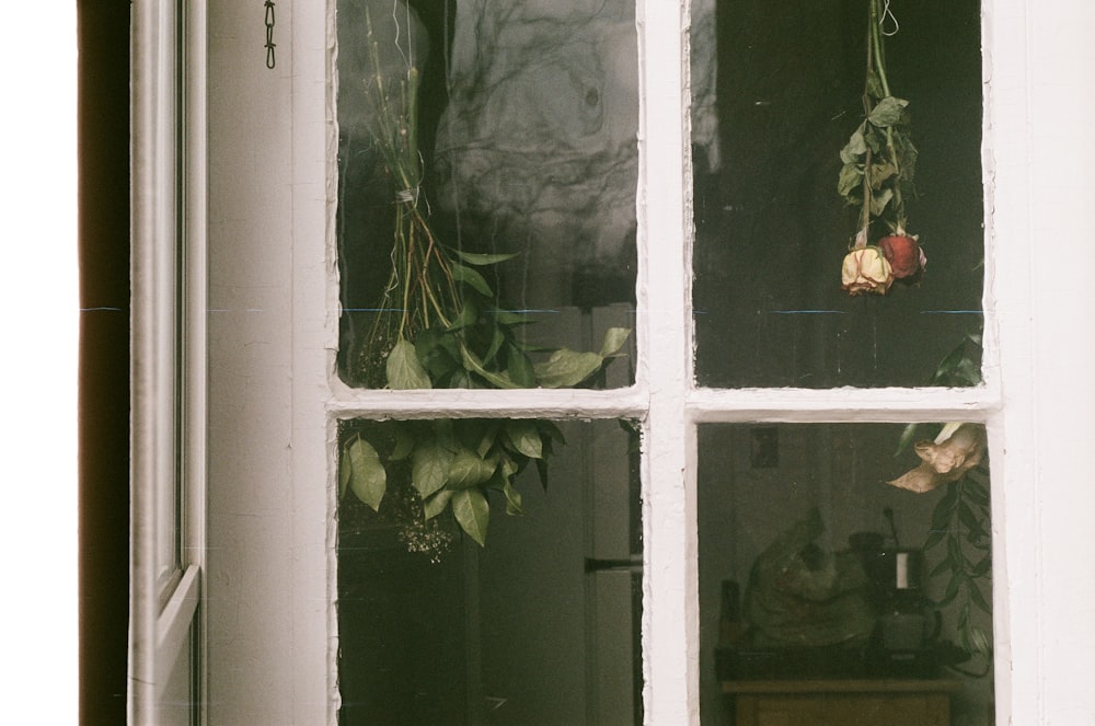 white wooden framed glass window