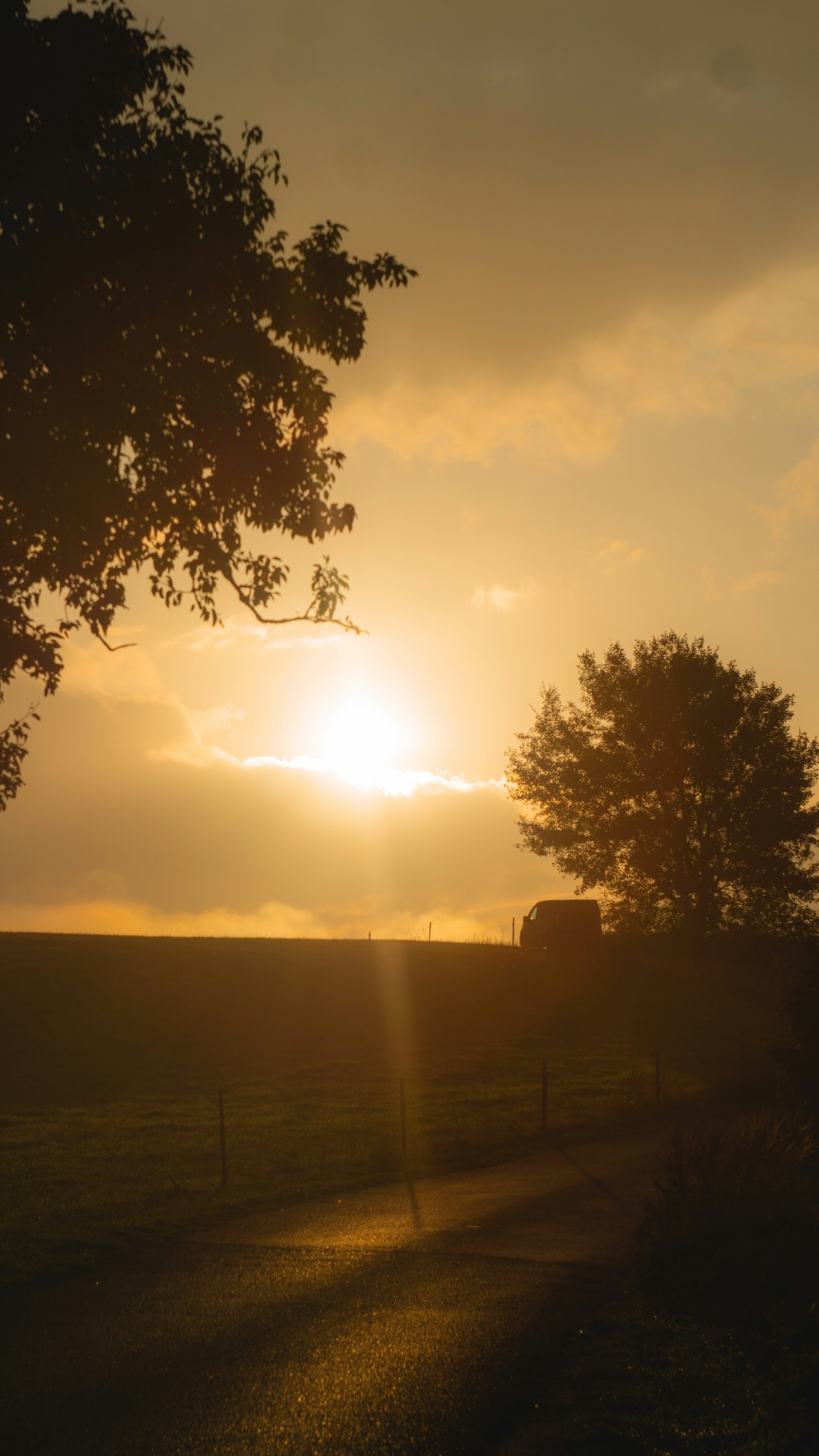 Photo by davidbenesph