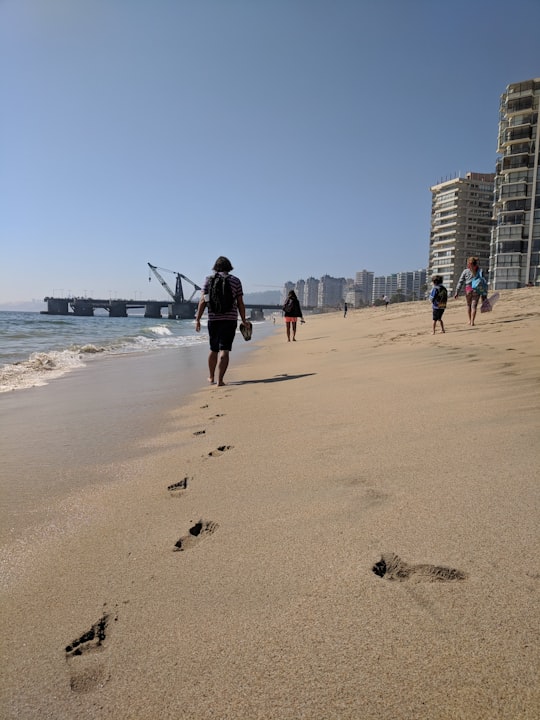 Vergara Pier things to do in Dunas De Concon