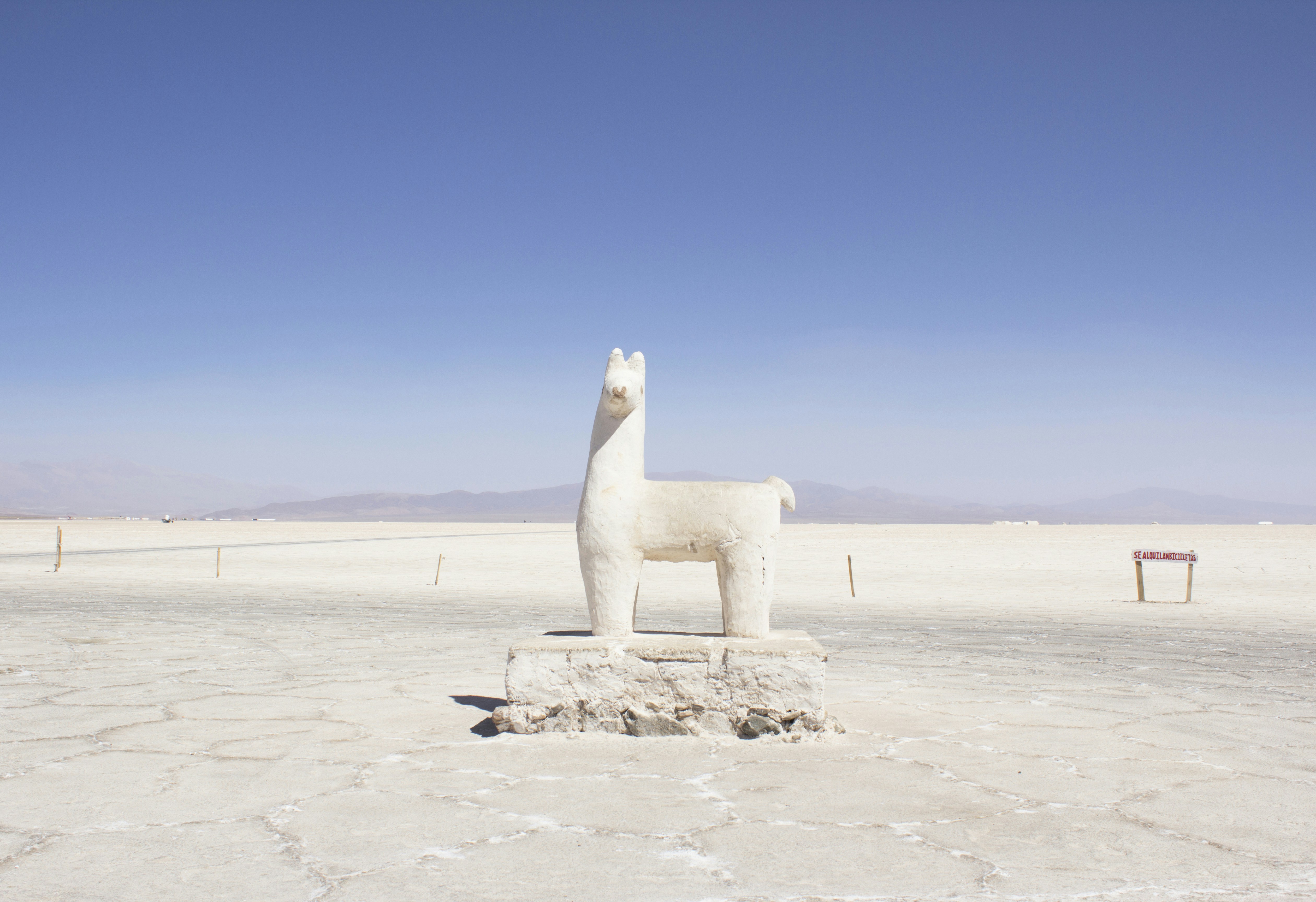 white llama statue in white field during daytime in Tilcara in Visit