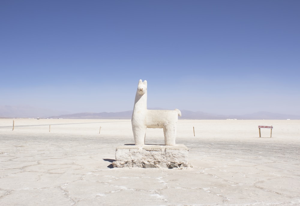 white llama statue in white field during daytime