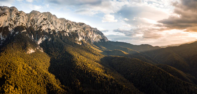 Cazare în Zărnești