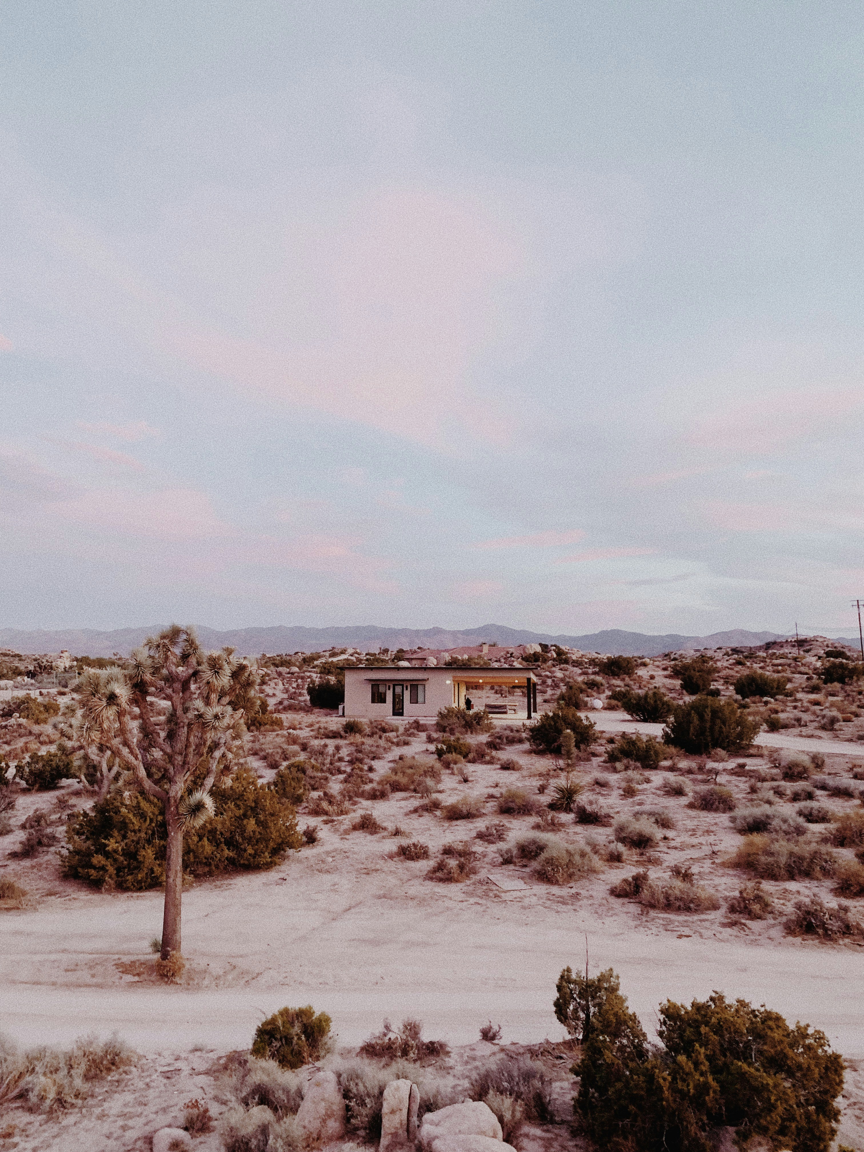 Photo by christinehann