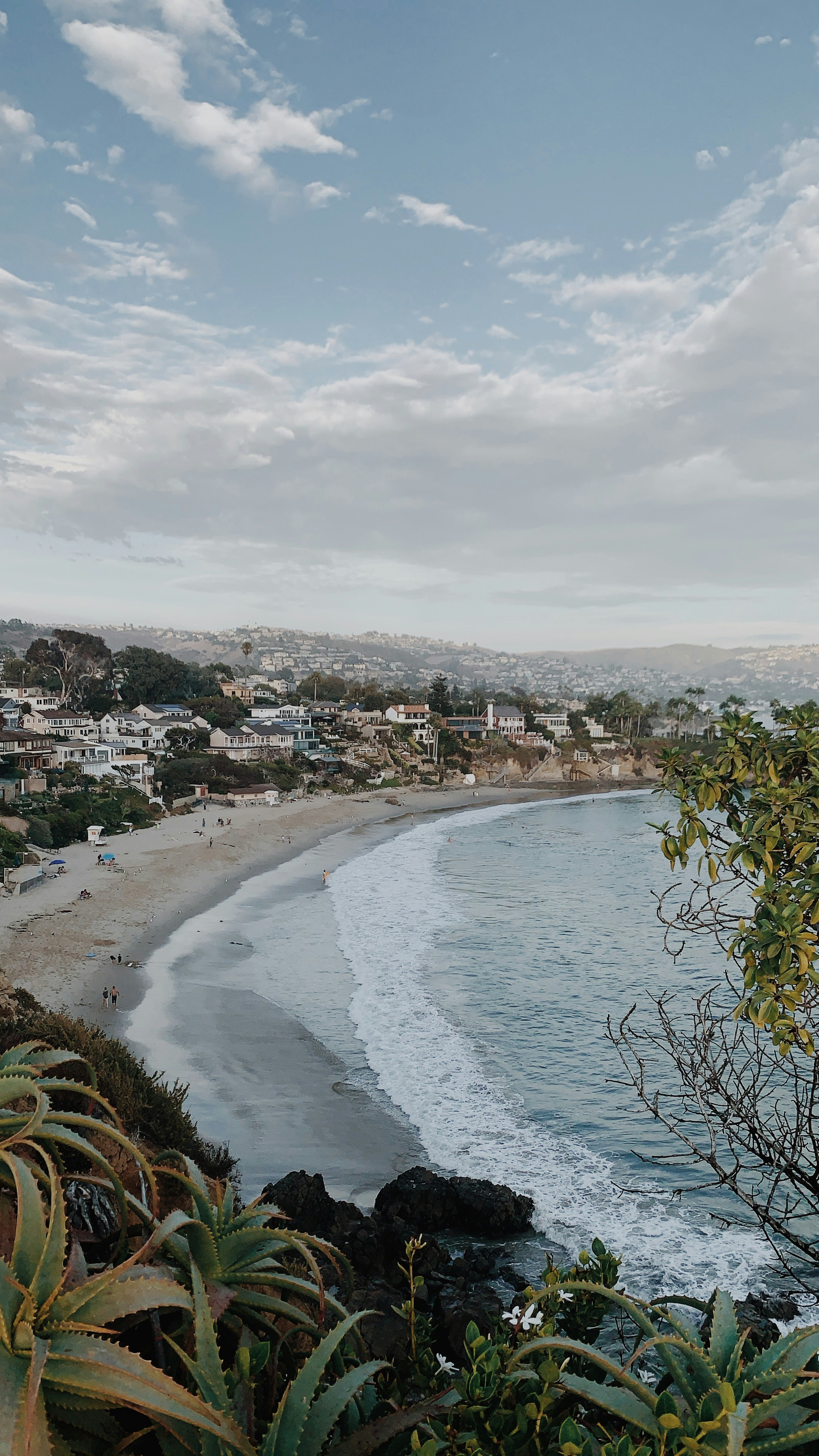 Photo by christinehann