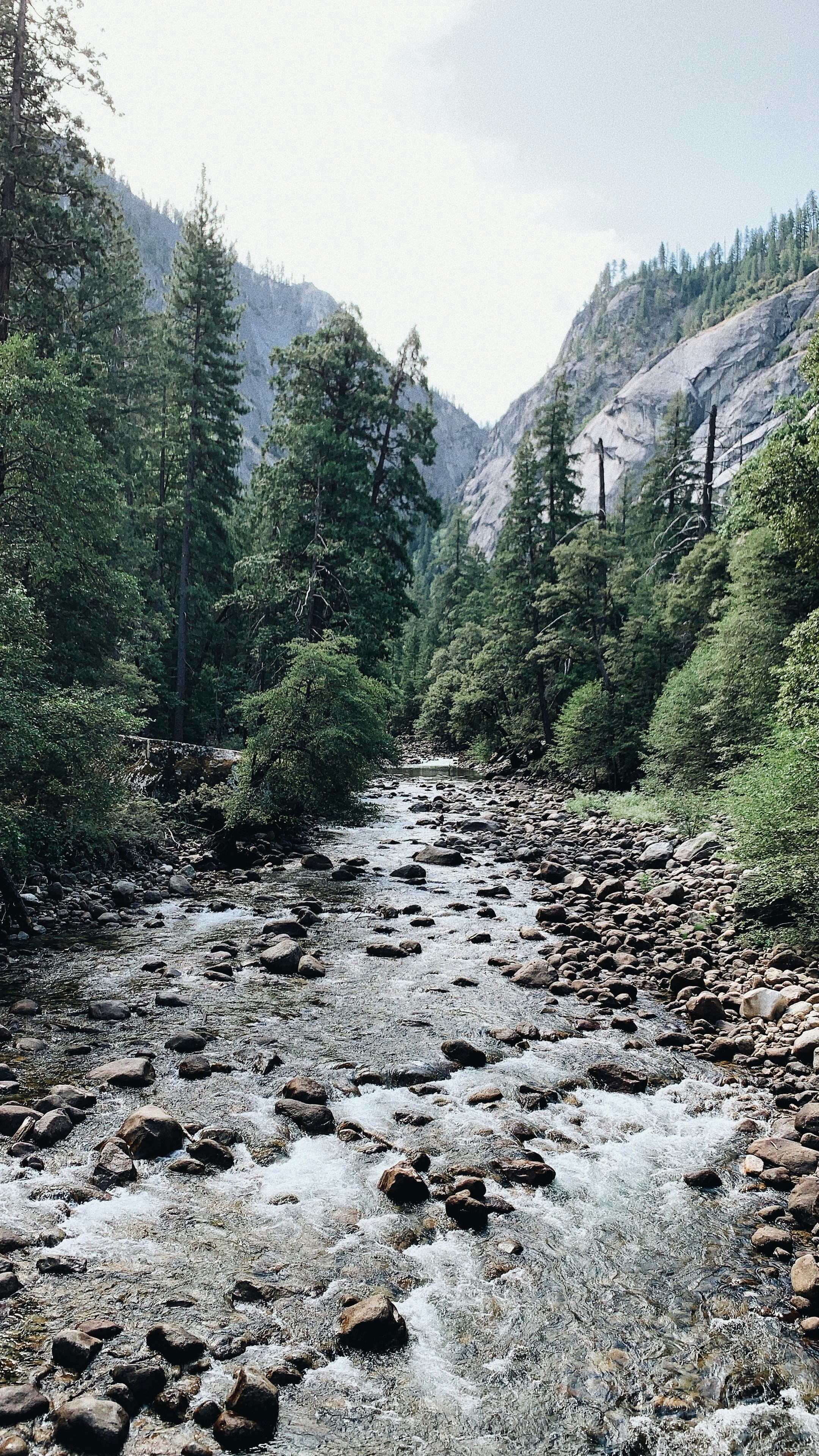 Photo by christinehann