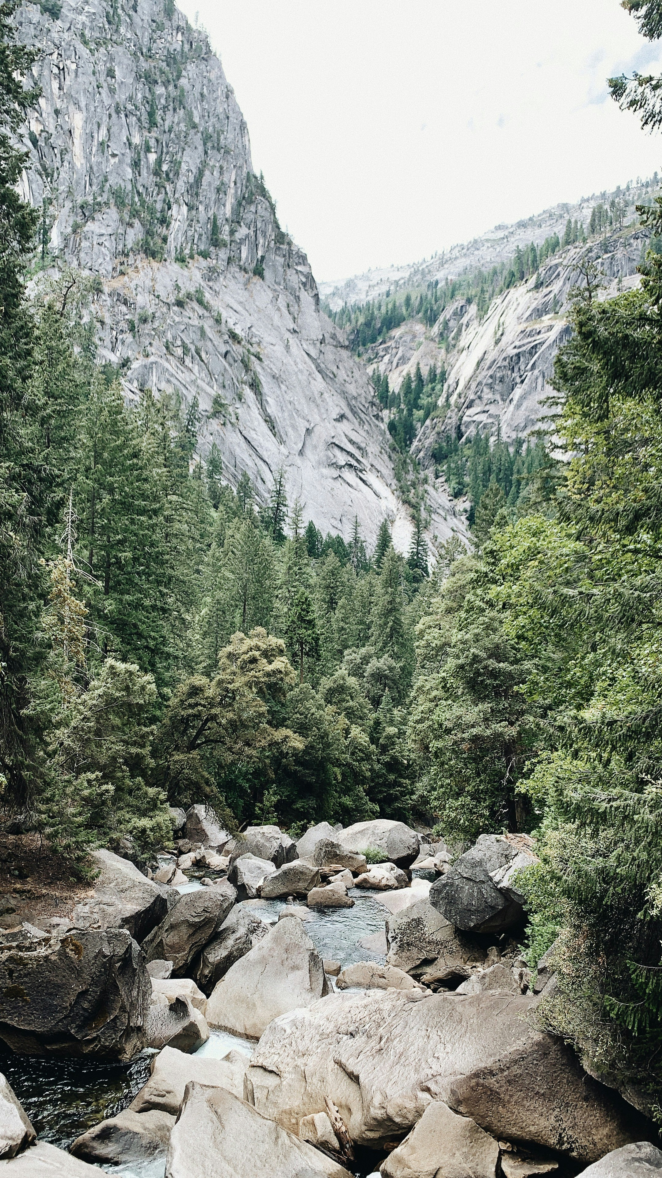 Photo by christinehann