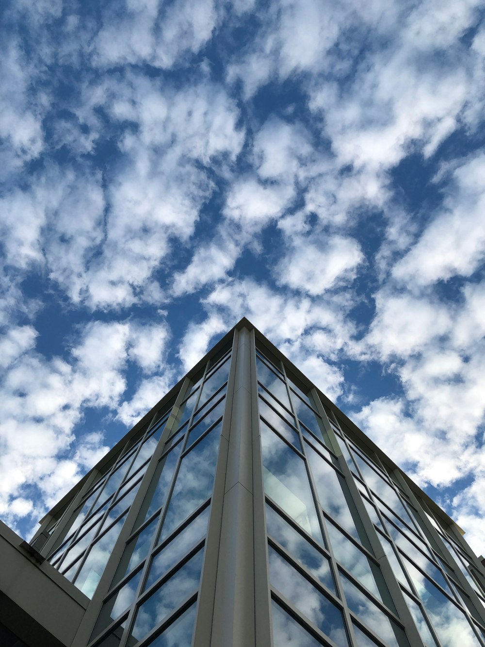 architectural photography of glass building