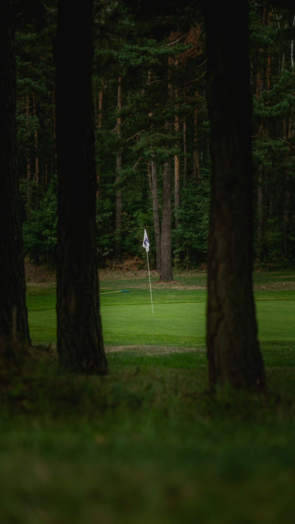Playing in the Wind: Why Club Up and Swing Normal Beats Swinging Easy