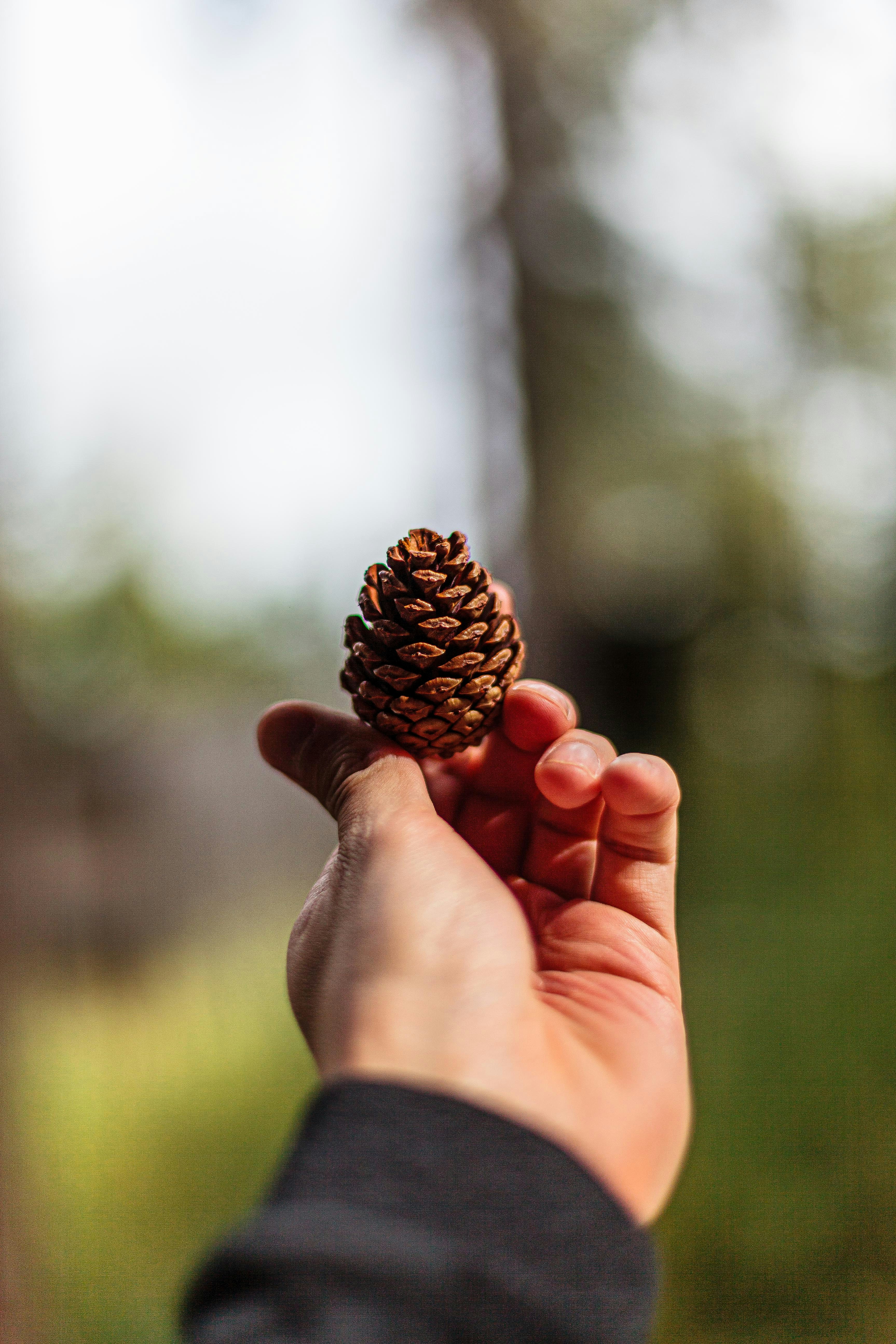 Photo by kennykennethh