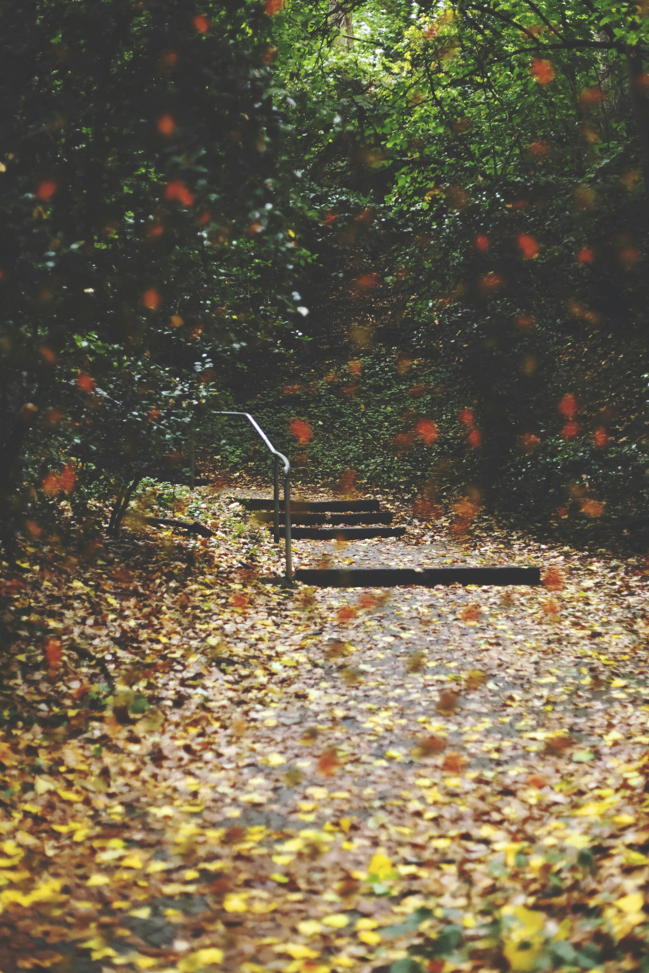 Photo by madhatterzone