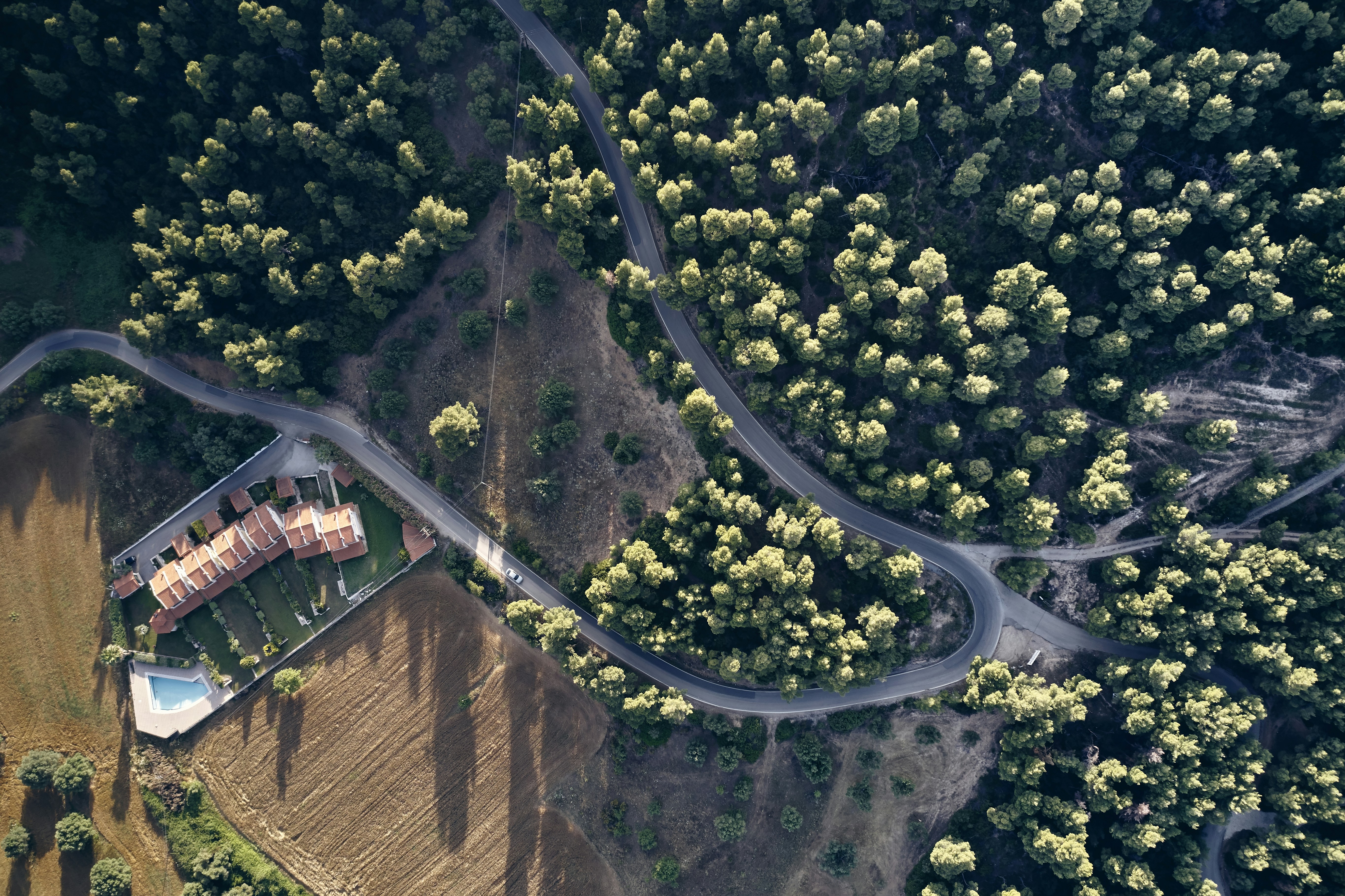 aerial photography of green-leaved trees