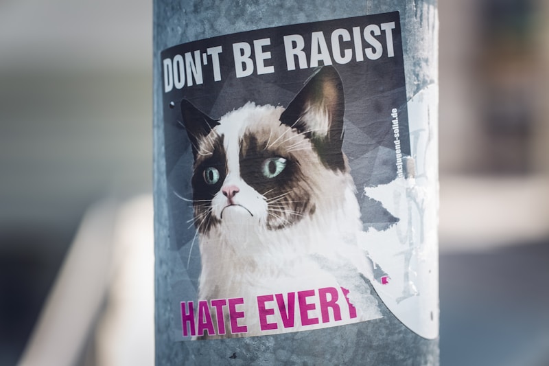 Cat-politics