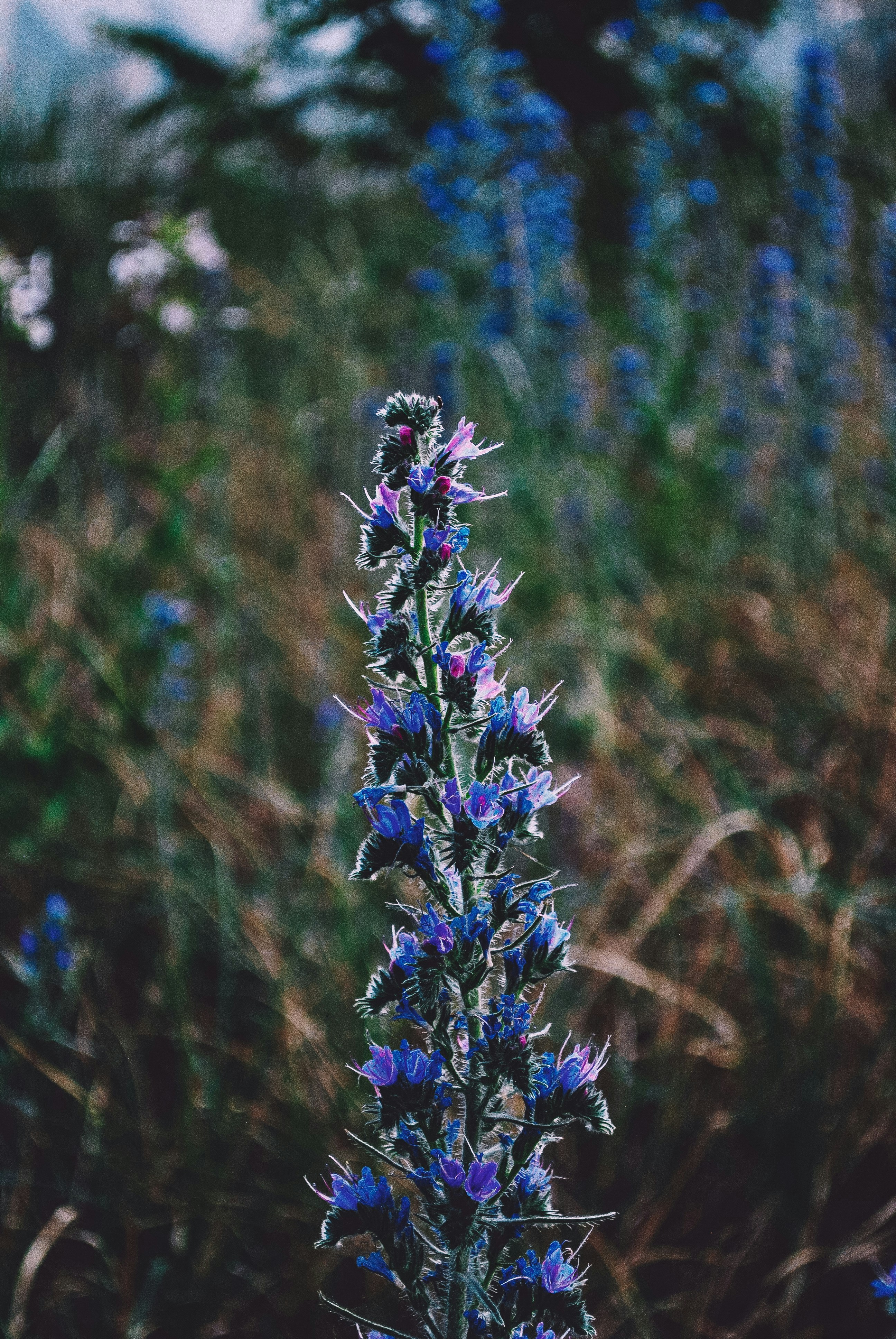 Photo by linda_zaremba