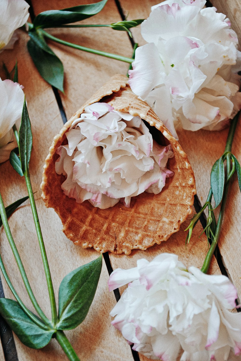 white petaled flowers