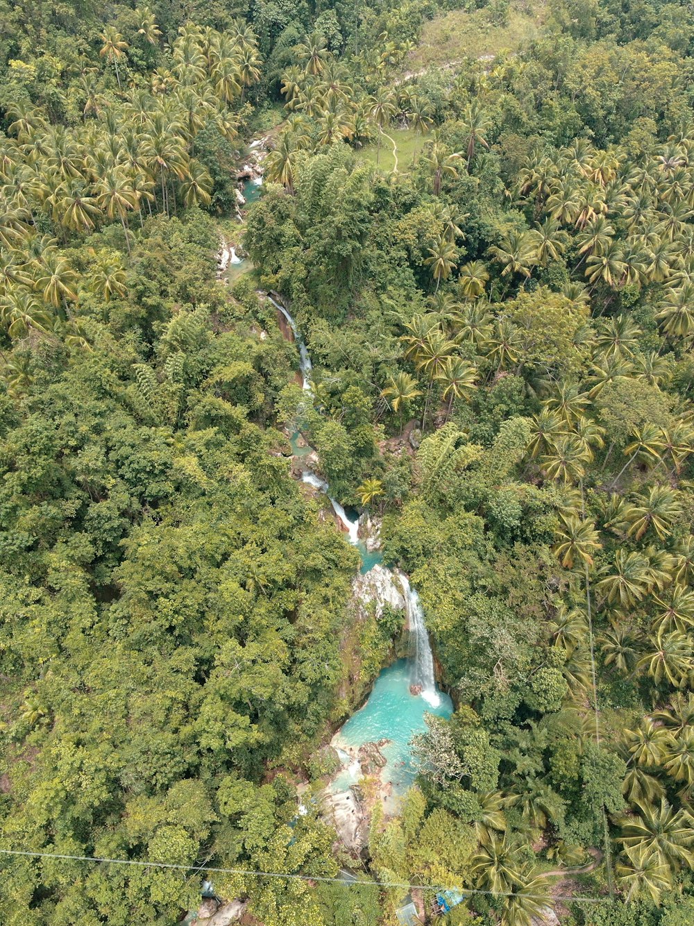 aerial photography of river between trees at daytime