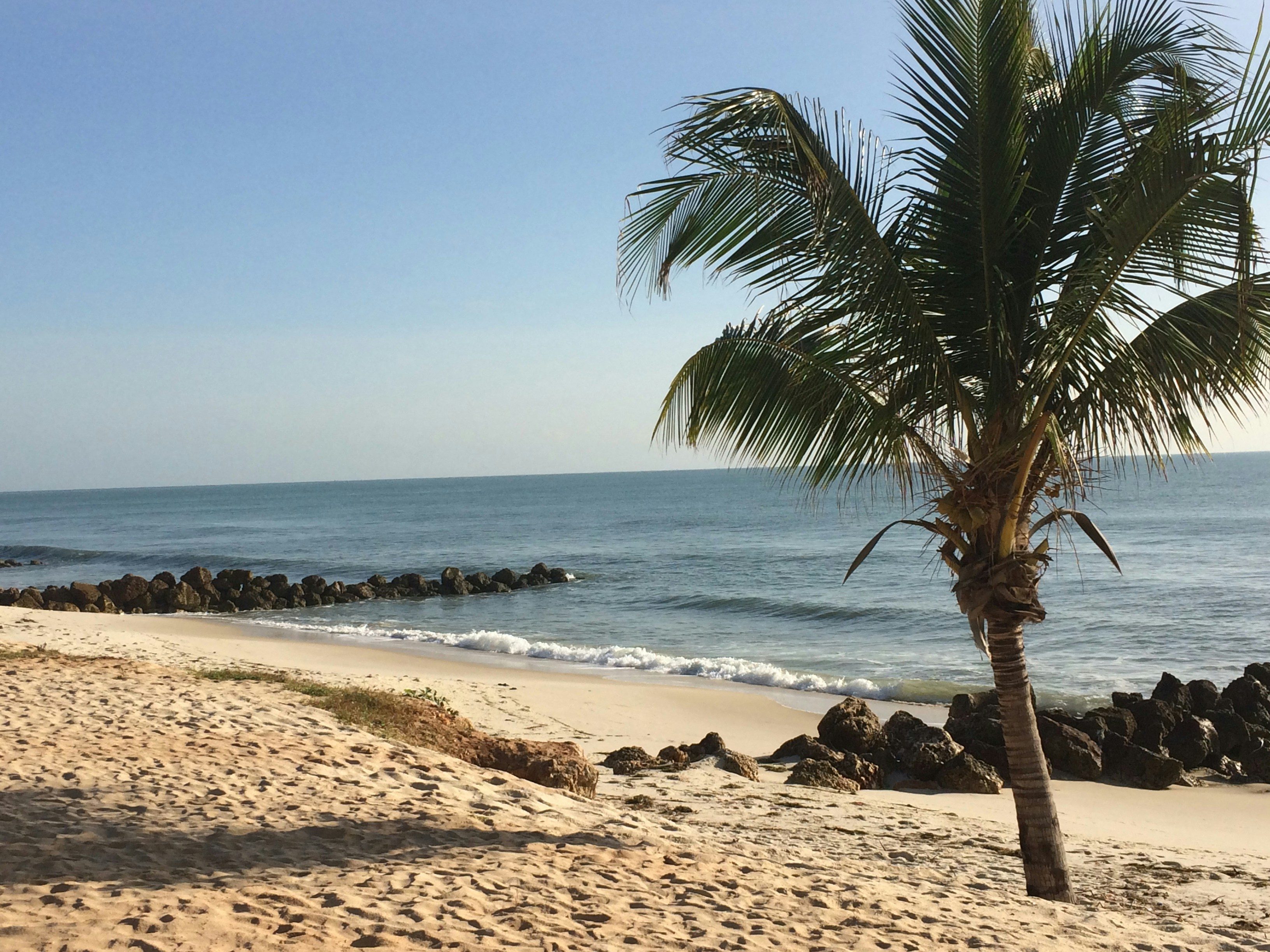 Photo by fellowwanderer